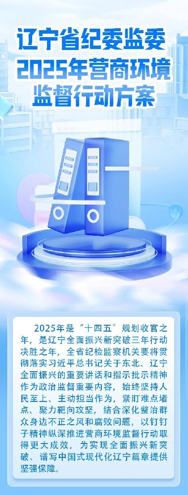 一图读懂丨辽宁省纪委监委2025年营商环境监督行动方案