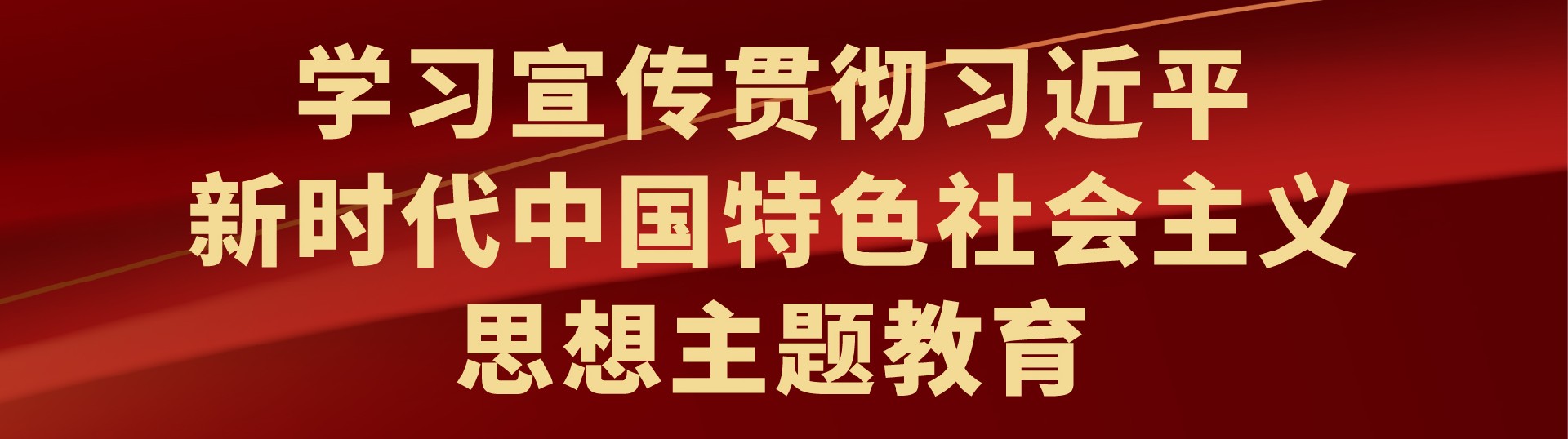 新时代中国特色社会主义思想主题教育